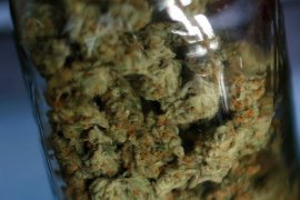 Marijuana commercial surety bonds